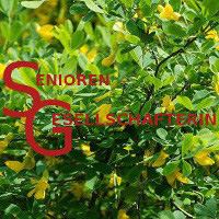 Senioren-Gesellschafterin